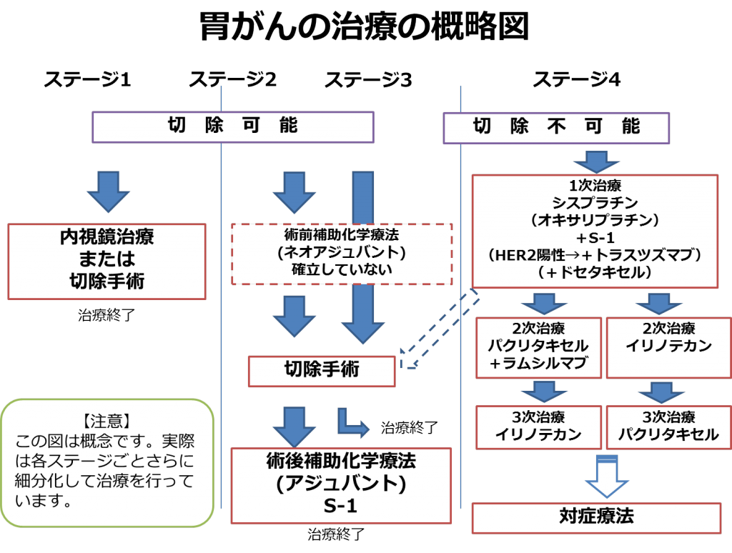 胃がんの治療概略図