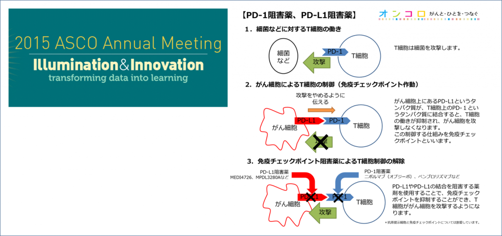 胃がん　ペムブロリズマブ（キイトルーダ）が有望な可能性　22%に一定以上の腫瘍縮小効果　ASCO2015