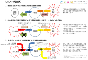 CTLA-4阻害薬