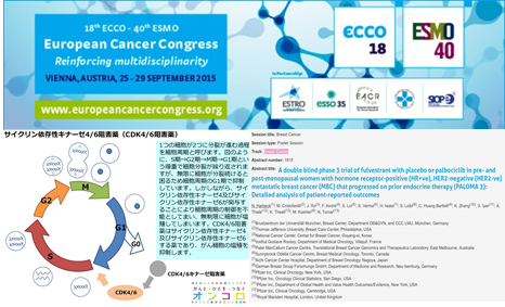 進行乳がん2次治療　パルボシクリブとフルベストラント併用　QOLも改善　ECC2015