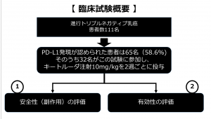 図10