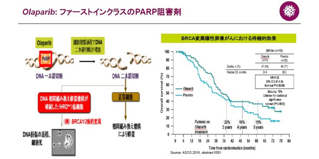 PARP阻害薬オラパリブ(リムパーザ) 遺伝性乳がん卵巣がんへの効果が期待～アストラゼネカ記者会見より③～