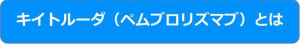 キイトルーダ（ペムブロリズマブ）とは