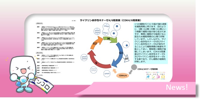 厚労省第二部会 手術不能または再発ホルモン陽性乳がん対象ファーストインクラスCDK4・6阻害薬イブランス了承