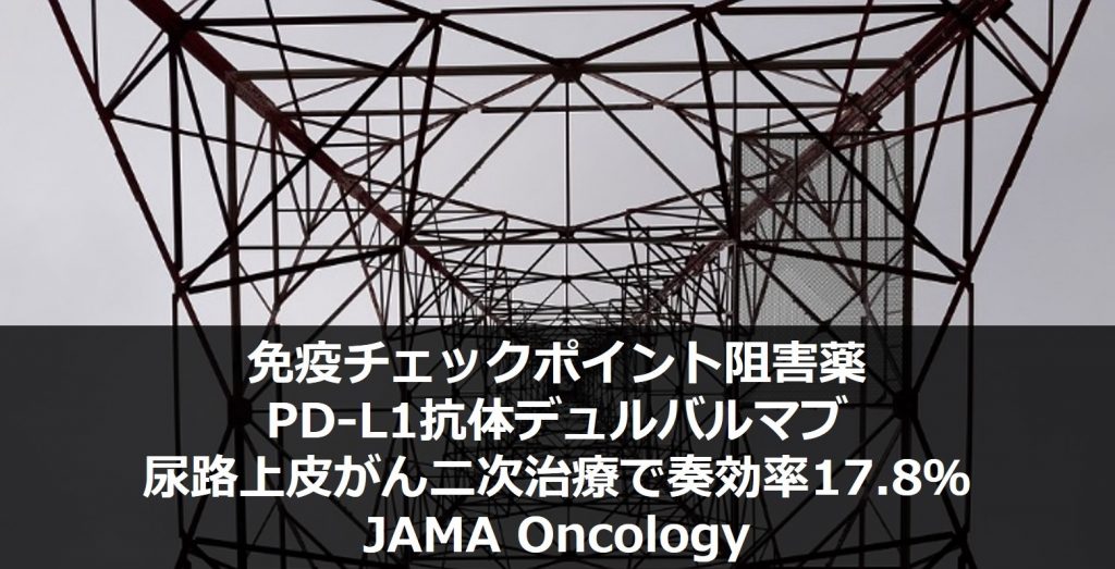 尿路上皮がん　抗PD-L1抗体デュルバルマブの二次治療で奏効率17.8％