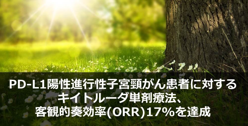 PD-L1陽性進行性子宮頸がん患者に対するキイトルーダ単剤療法、客観的奏効率(ORR)17%を達成