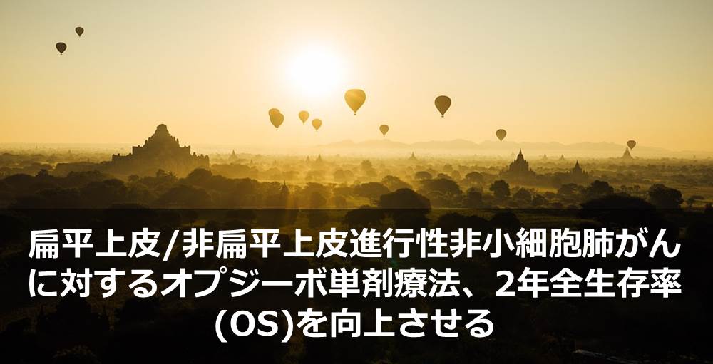 扁平上皮/非扁平上皮進行性非小細胞肺がんに対するオプジーボ単剤療法、2年全生存率(OS)を向上させる