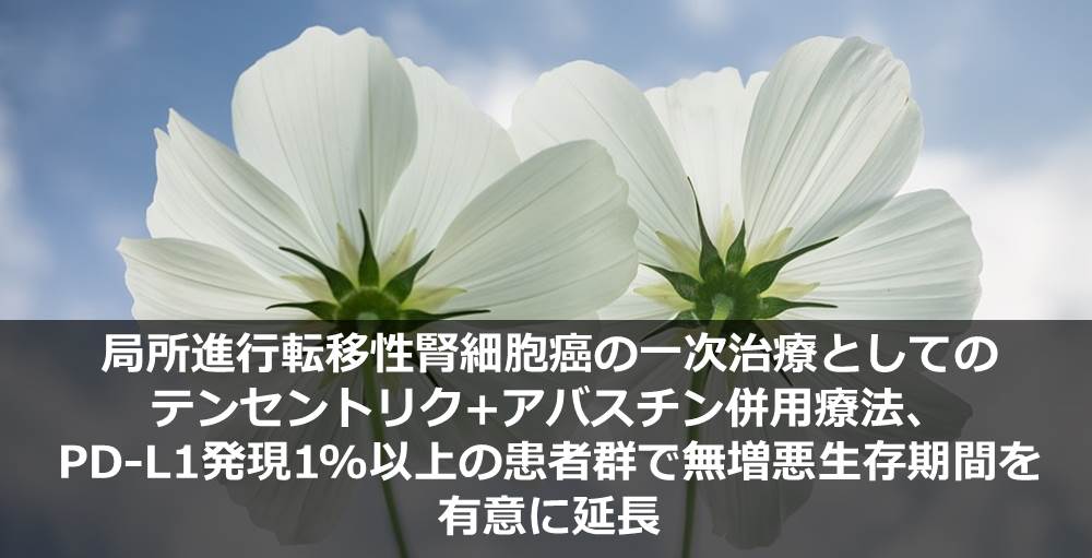 局所進行転移性腎細胞癌の一次治療としてのテセントリク+アバスチン併用療法、PD-L1発現1%以上の患者群で無増悪生存期間を有意に延長