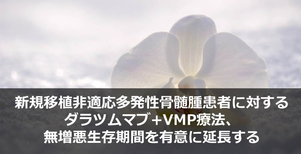 新規移植非適応多発性骨髄腫患者に対するダラツムマブ+VMP療法、無増悪生存期間を有意に延長する