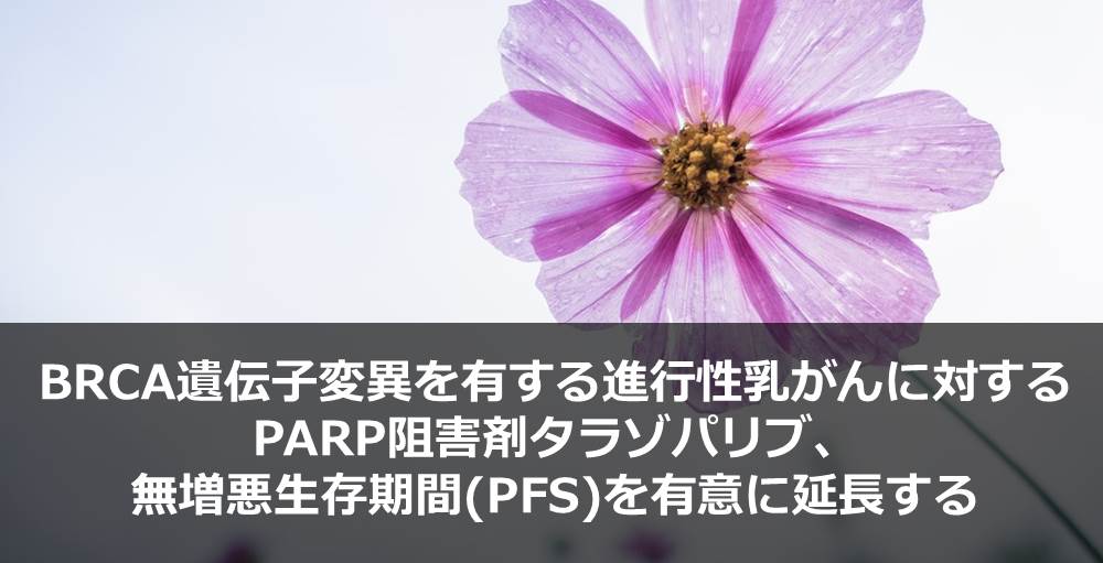 BRCA遺伝子変異を有する進行性乳がんに対するPARP阻害剤タラゾパリブ、無増悪生存期間(PFS)を有意に延長する