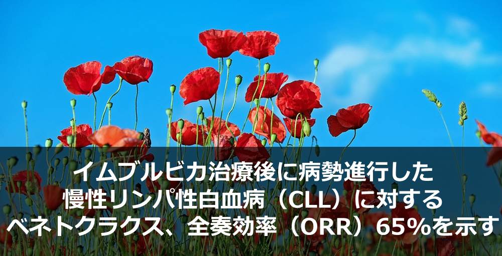 イムブルビカ治療後に病勢進行した慢性リンパ性白血病（CLL）に対するベネトクラックス、全奏効率（ORR）65%を示す