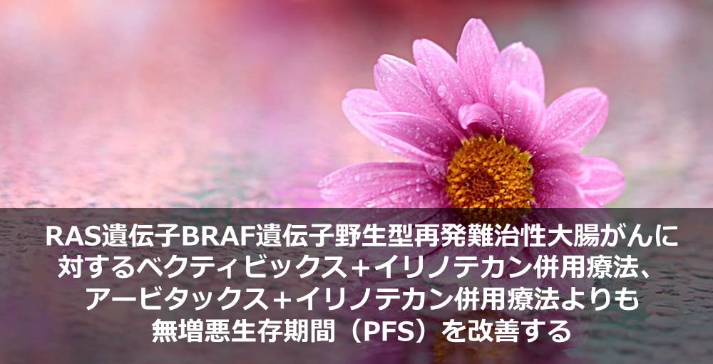 RAS遺伝子BRAF遺伝子野生型再発難治性大腸がんに対するベクティビックス＋イリノテカン併用療法、アービタックス＋イリノテカン併用療法よりも無増悪生存期間（PFS）を改善する