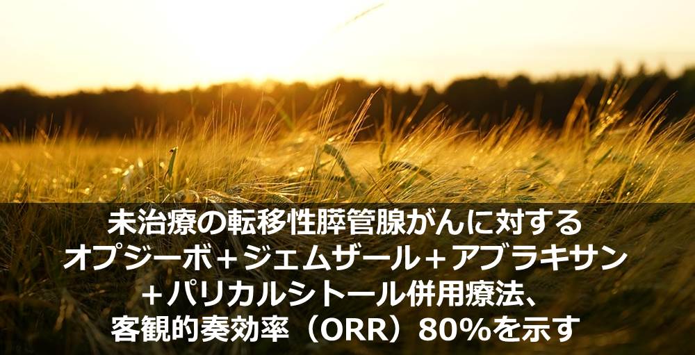 未治療の転移性膵管腺がんに対するオプジーボ＋ジェムザール＋アブラキサン＋パリカルシトール併用療法、客観的奏効率（ORR）80%を示す