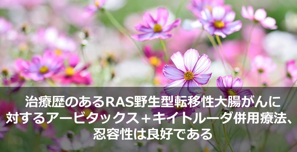 治療歴のあるRAS野生型転移性大腸がんに対するアービタックス＋キイトルーダ併用療法、忍容性は良好である