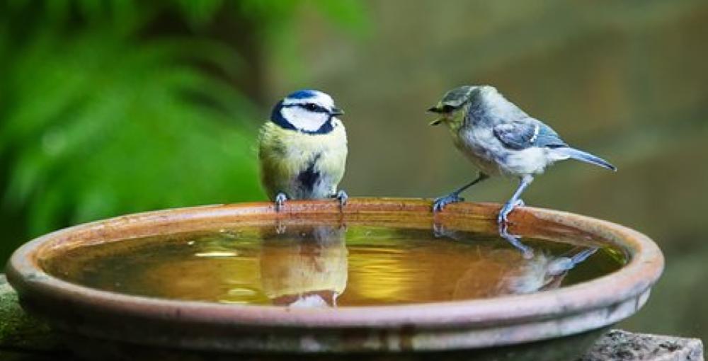 知人に「民間療法」を勧められたけど、受けてもいいの？ 現役医師に聞いてみました。