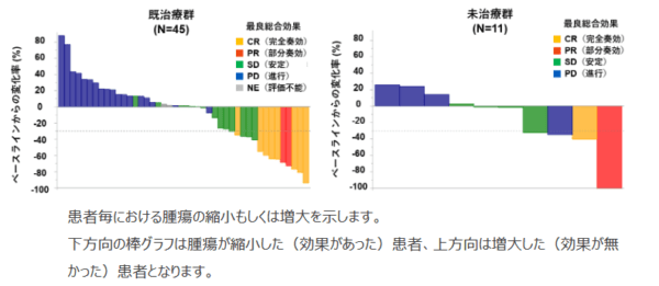 画像はリリースより